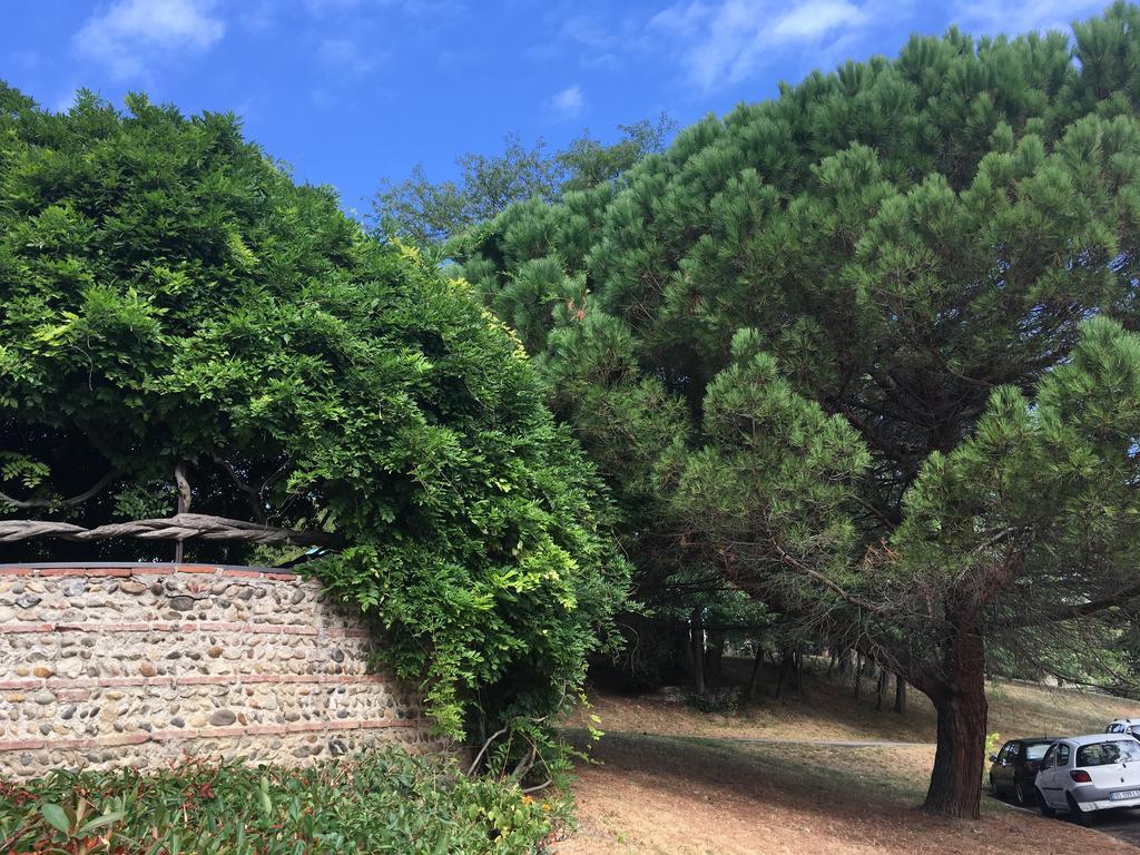 Ancely Studio Aséptisé