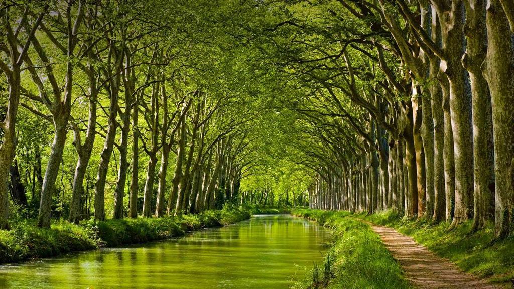 La Chartreuse Du Canal Du Midi Holiday home Toulouse