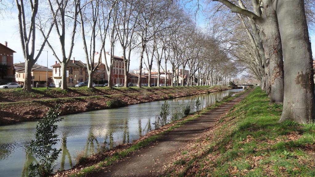 Apartamento Le Brienne Centre Toulouse