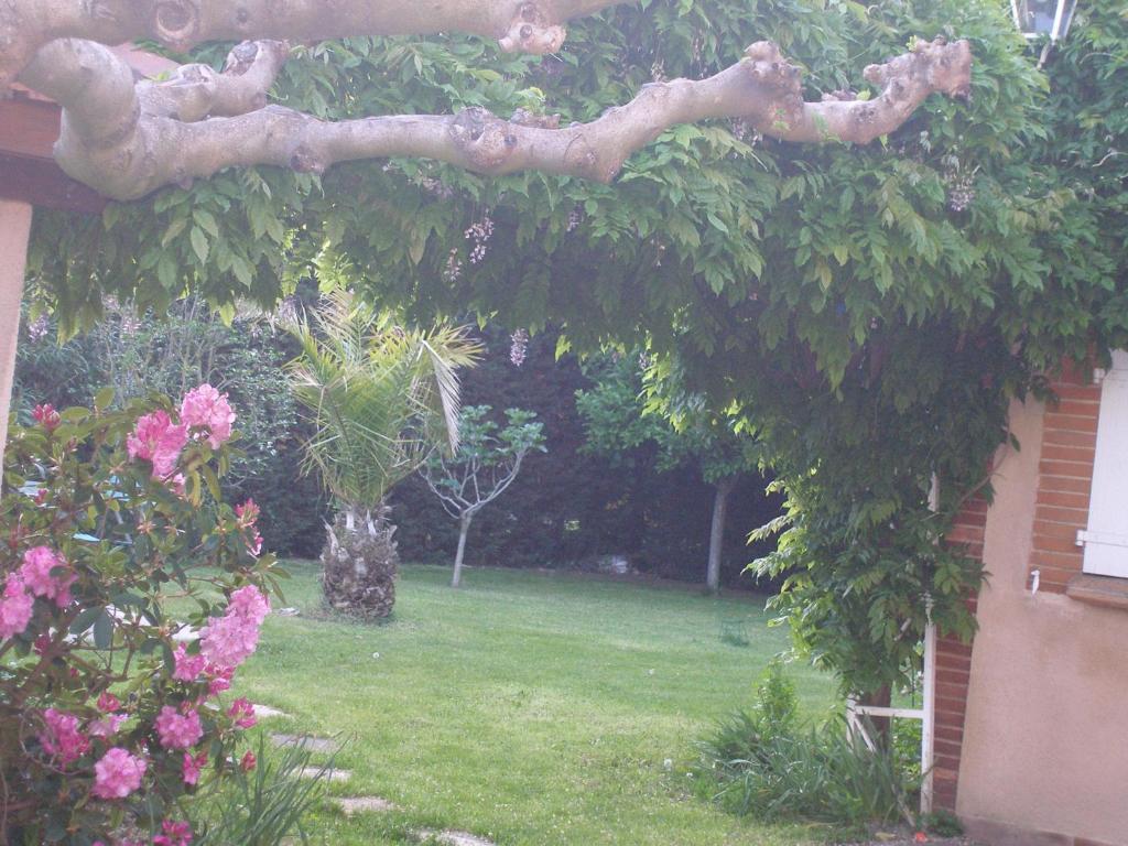 La Des Violettes Bed and breakfast