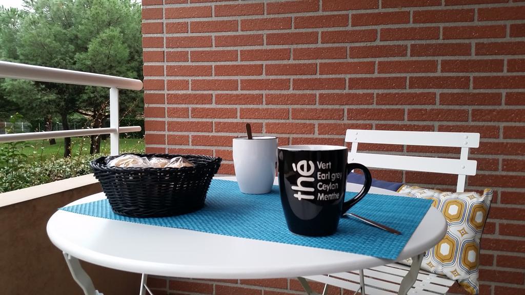 Contemporain Proche Meteo, Cambo, Edf, Airbus & Thales Apartment Toulouse
