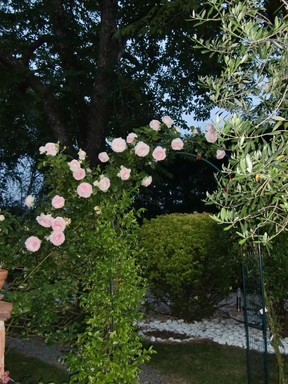 La Des Violettes Bed and breakfast *