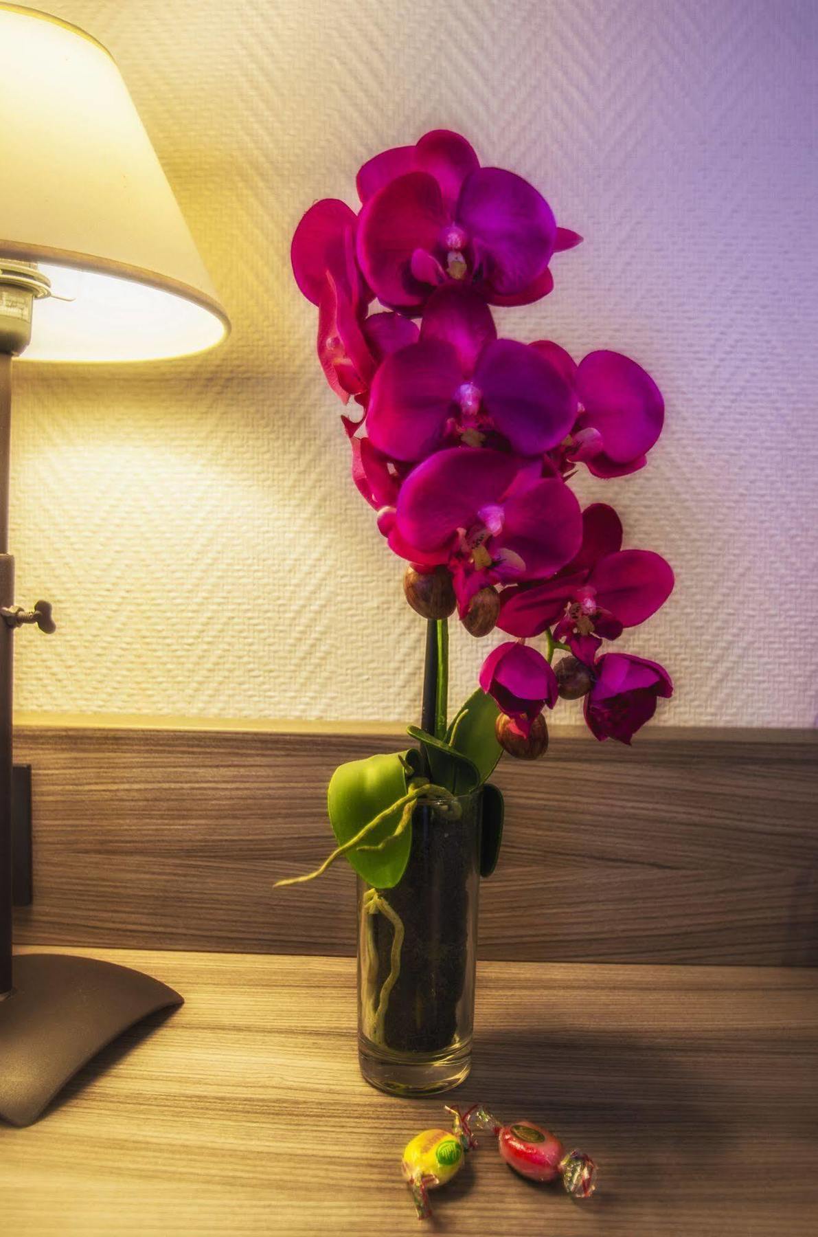 Hotel Prado Avec Parking - Proche Zenith