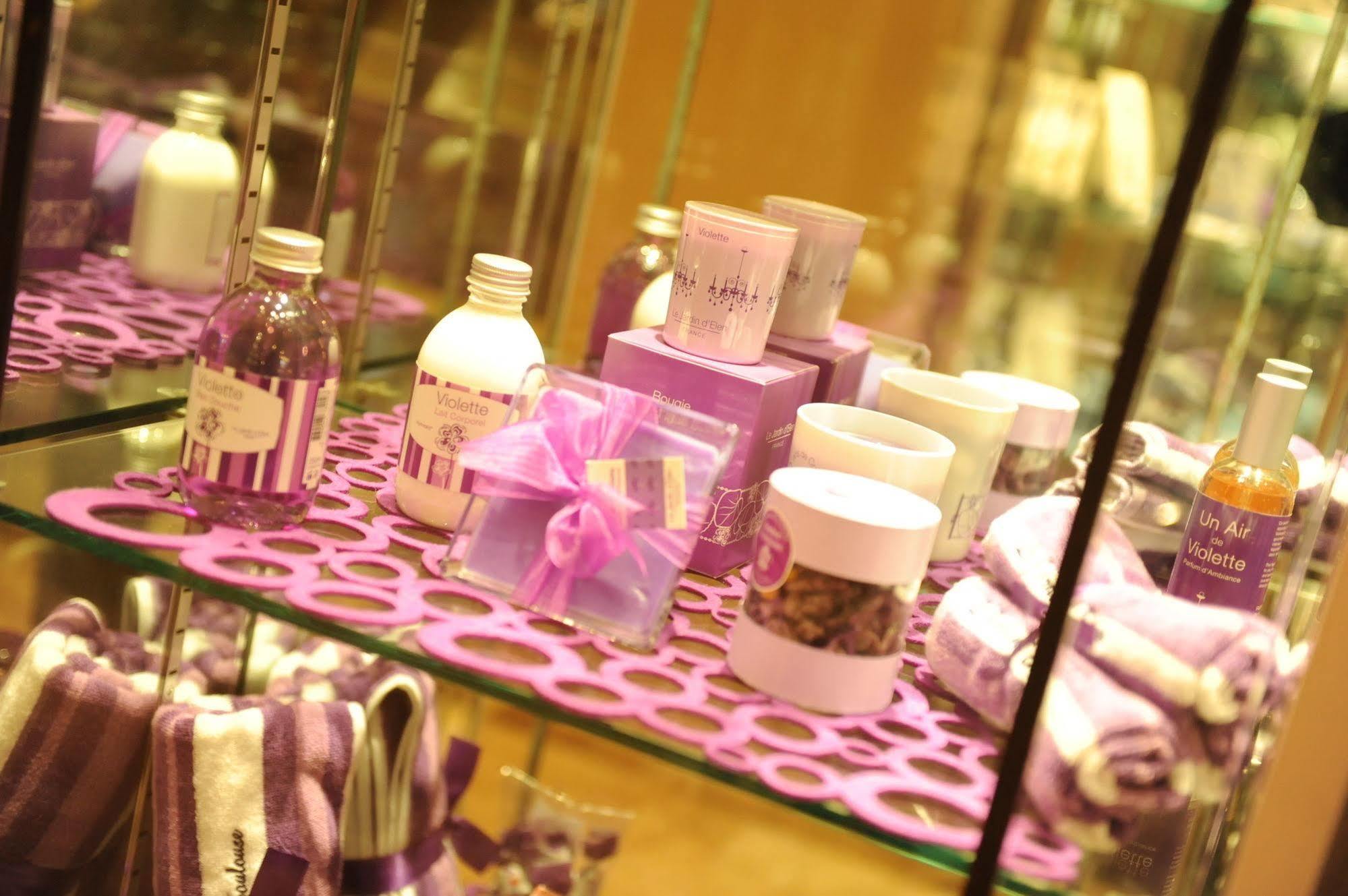 Mermoz Hotel Toulouse
