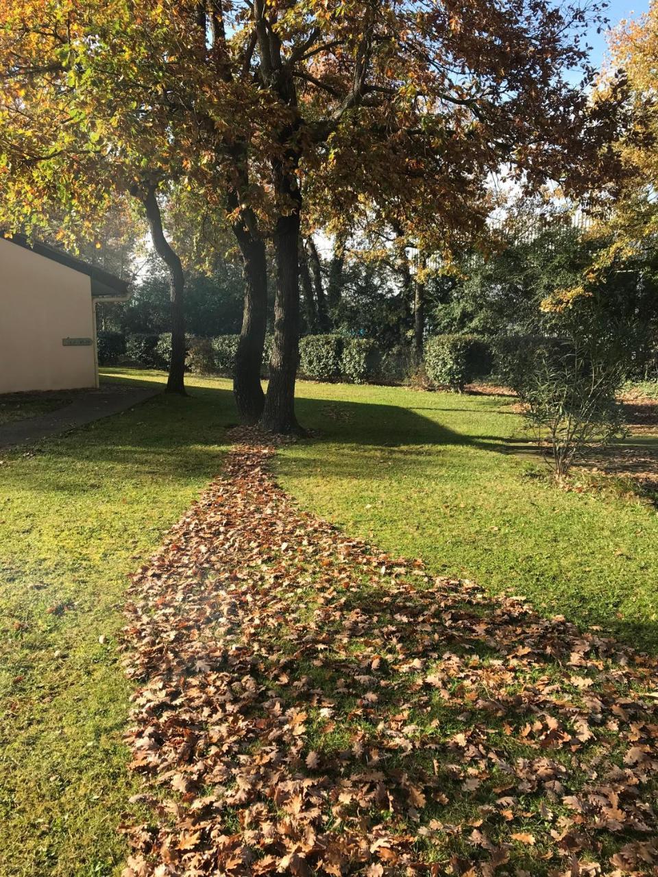 Résidence Thibaud Hotel