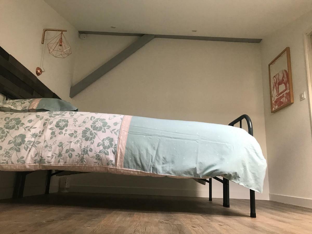 Apartment - Le Loft - Avec Jardin A Toulouse