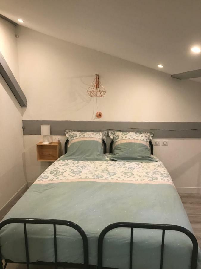 - Le Loft - Avec Jardin A * Toulouse
