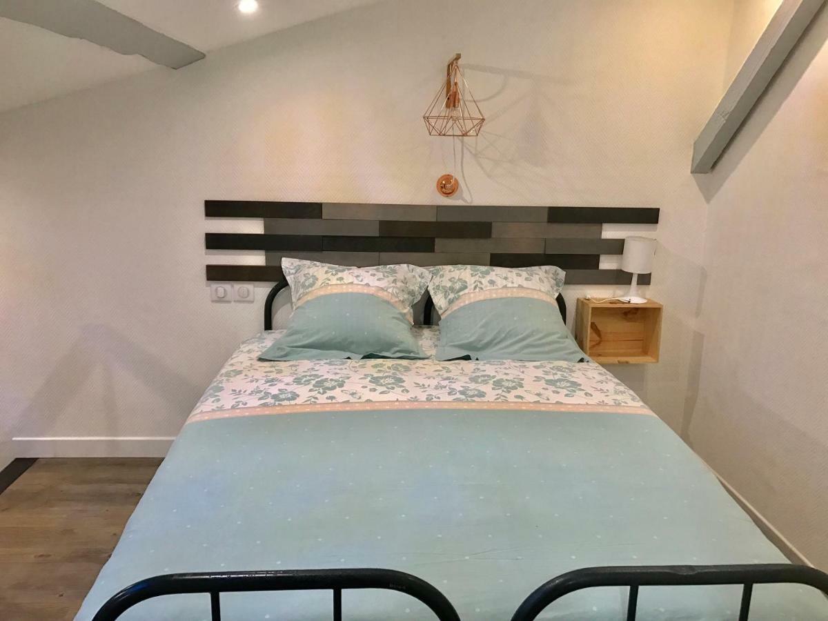 - Le Loft - Avec Jardin A Apartamento Toulouse