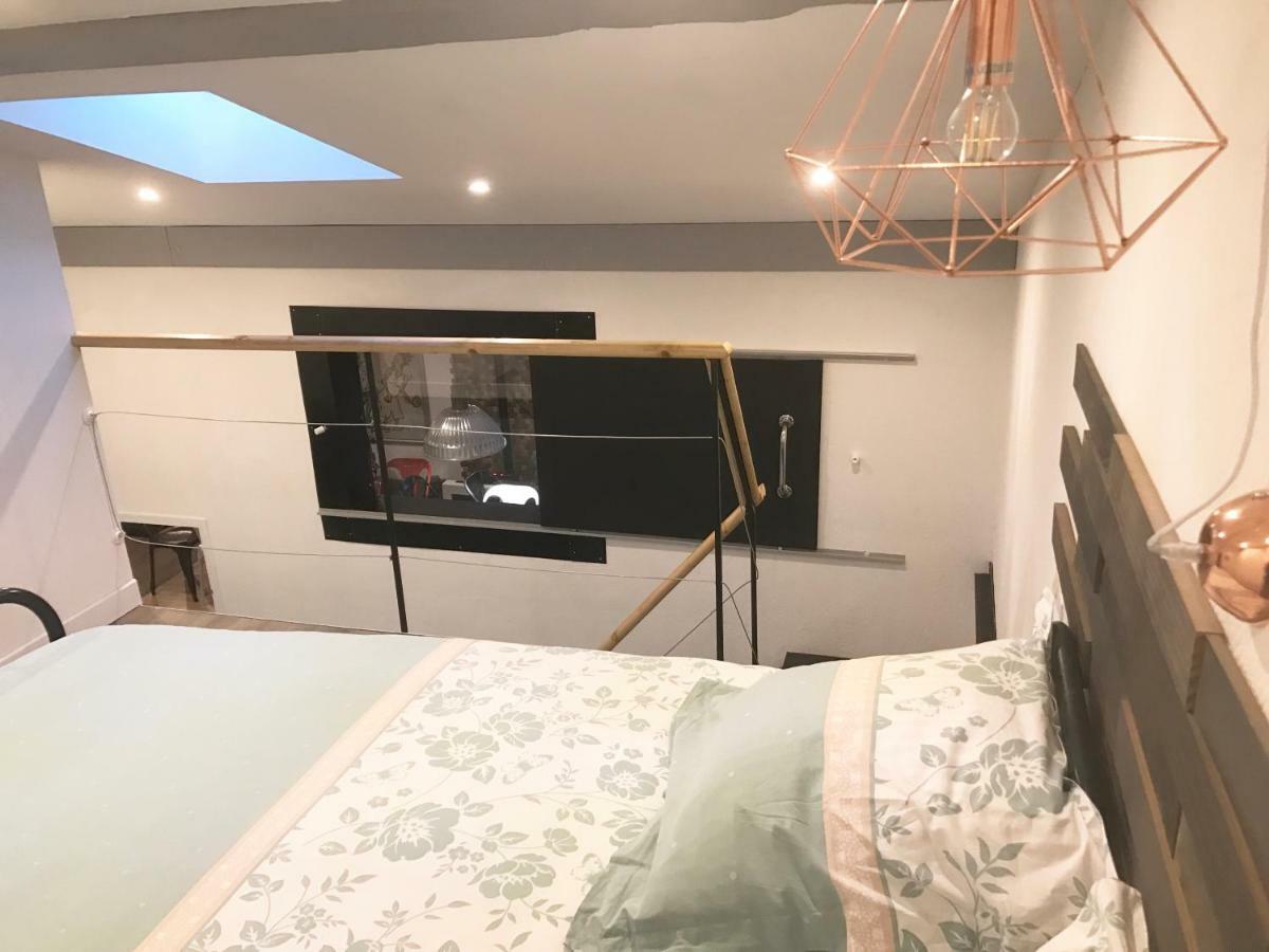 Apartamento - Le Loft - Avec Jardin A Toulouse