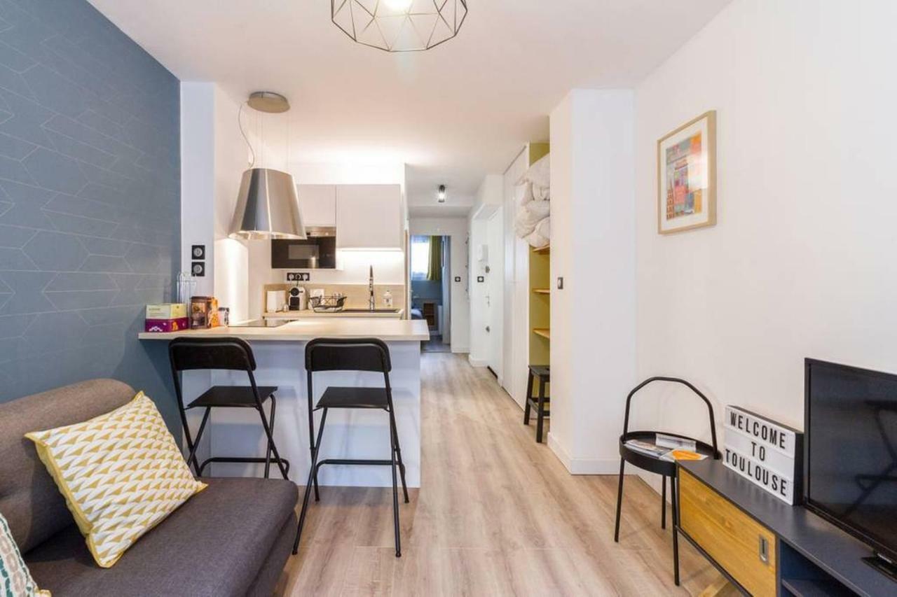 Apartment Calme Renove Jardin Des Plantes Busca Toulouse