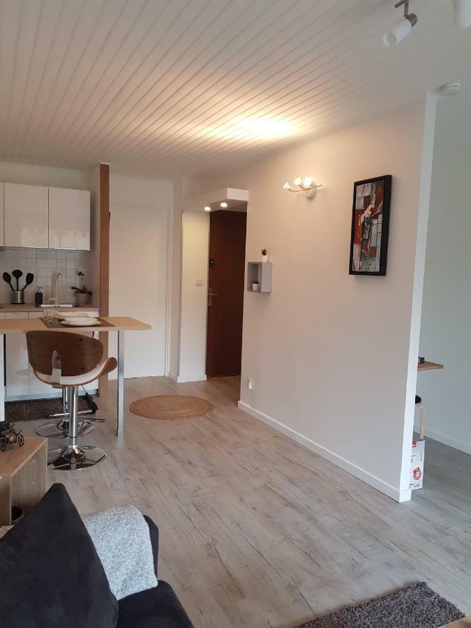 Laurier Apartment Toulouse
