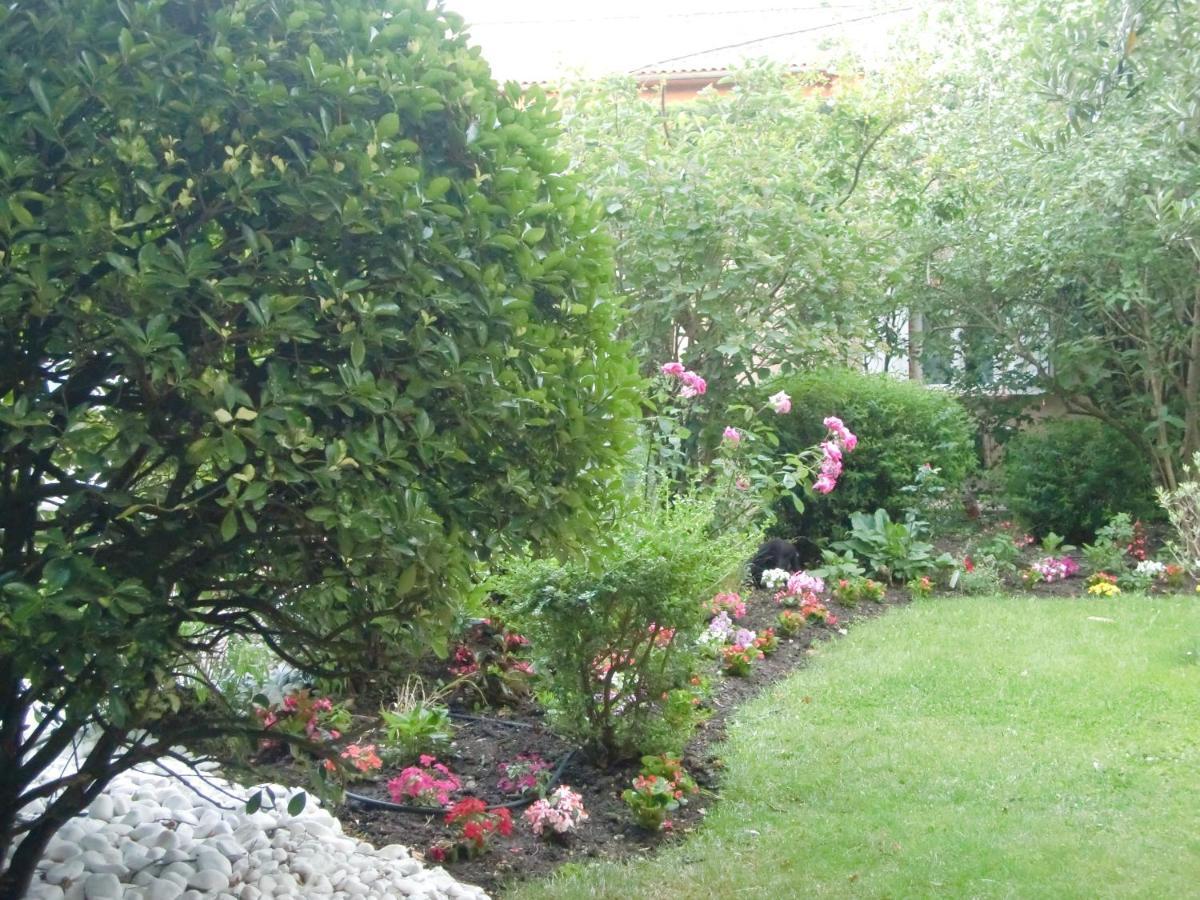 Bed and breakfast La Des Violettes Toulouse