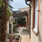 Pleasant And Bright Chartreuse With Terrace