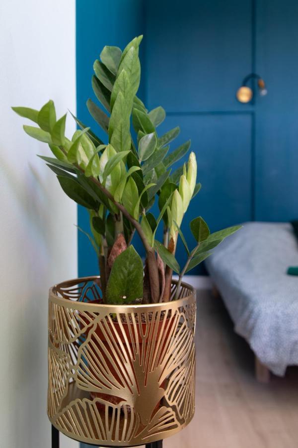La Terrasse De Gatsby - Vue Wow - Netflix Apartamento Toulouse
