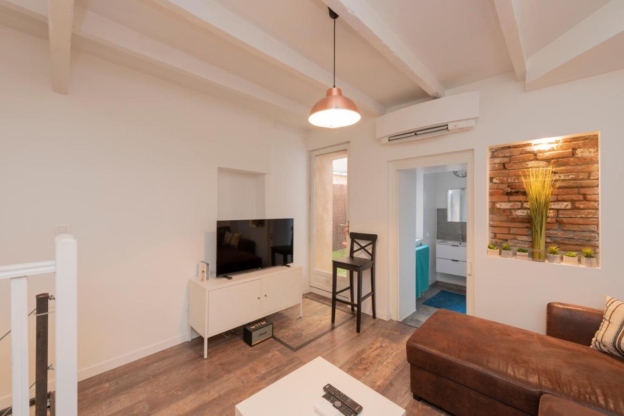 Appartement L'aubuisson - Climatise Avec Terrasse Privee Toulouse