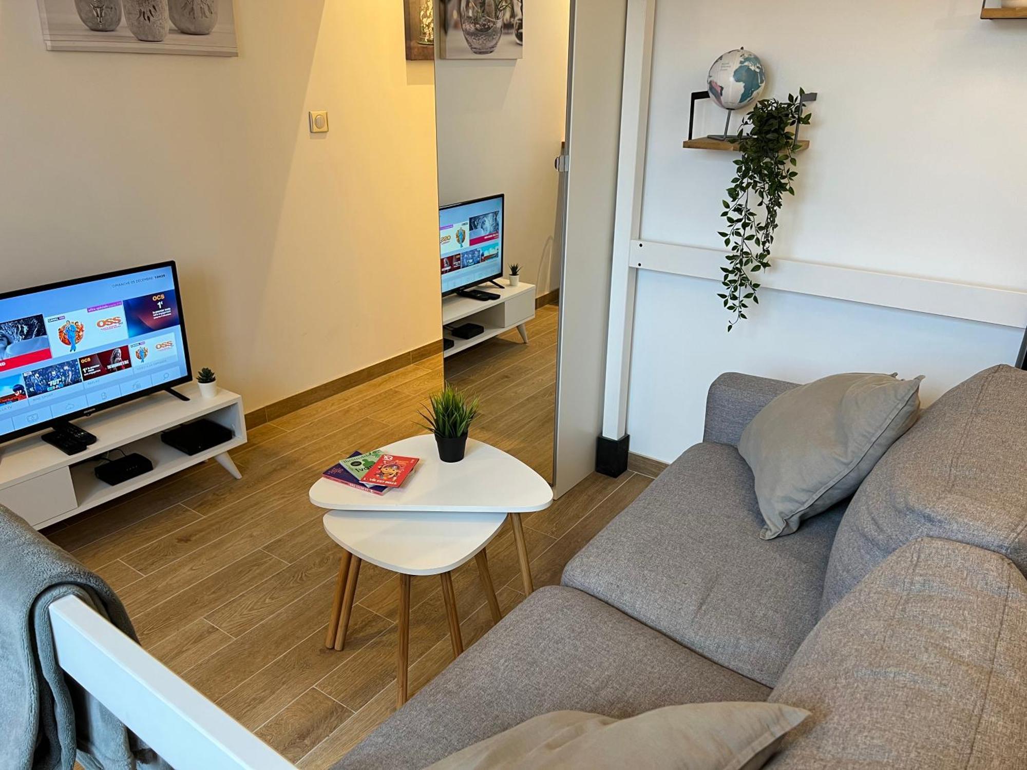 Appartement - Tramway & Zenith *
