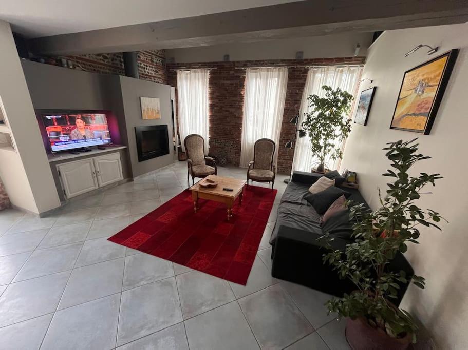 Villa Magnifique Maison Toulousaine Toulouse
