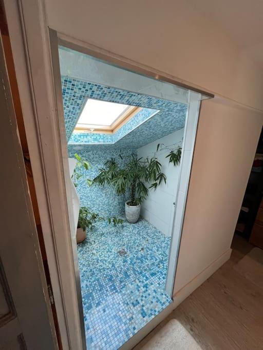 Magnifique Maison Toulousaine Villa Toulouse