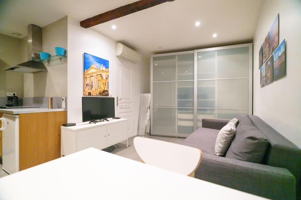 Apartment Le Nightflyer T2 Atypique De Brique Et En Cave Toulouse