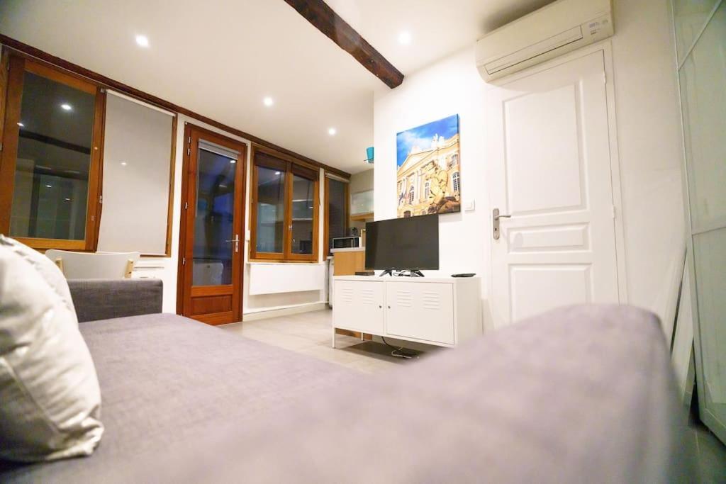 Apartment Le Nightflyer T2 Atypique De Brique Et En Cave Toulouse
