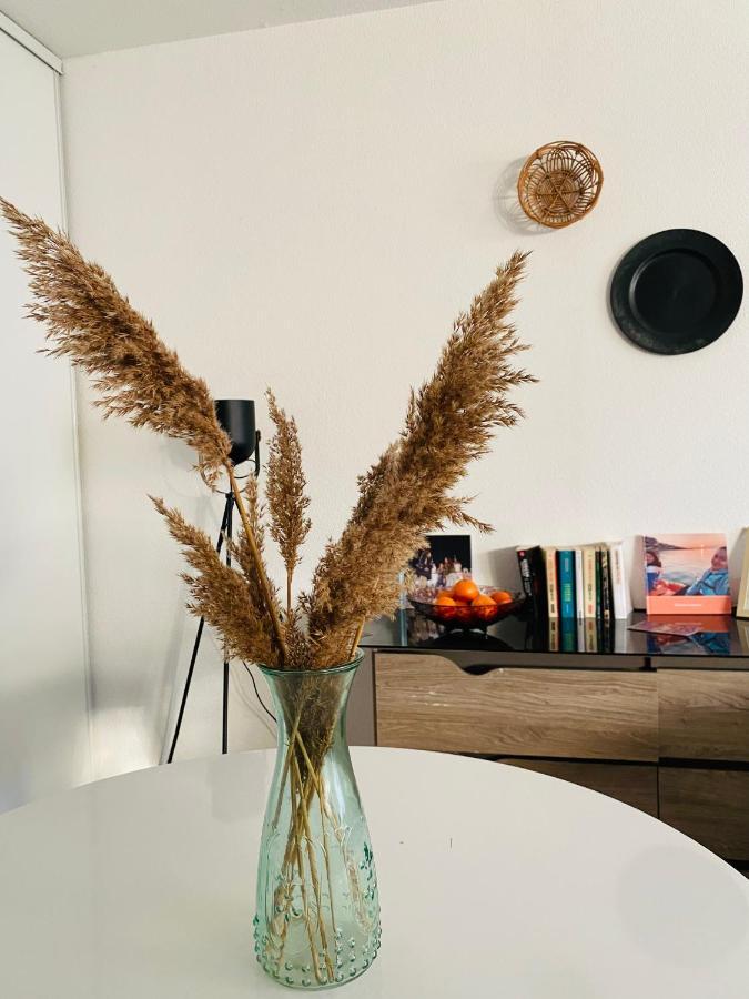 Mon Havre De Paix Toulousain Idealement Situe Apartamento