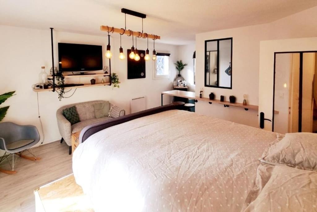 Cosy Atypique - Toulouse