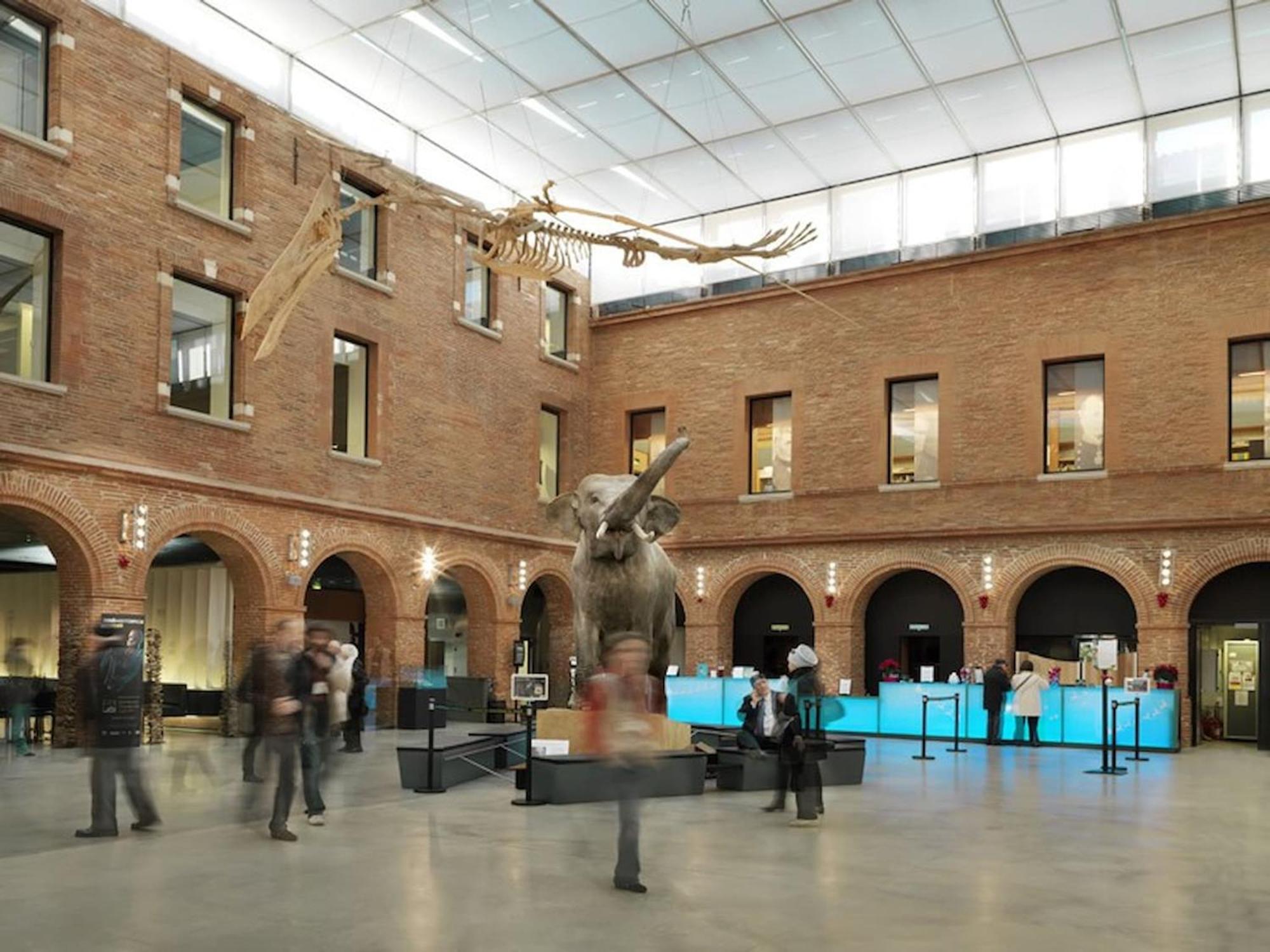 Apartment Beethoven - St Michel - Metro - Tram - Stadium Toulouse