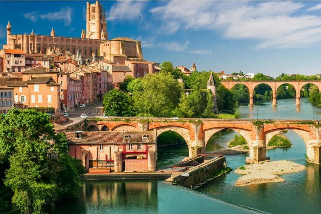 Guest house Le Central - Chambre Privative Avec Salon Et Terrasse Privee Toulouse