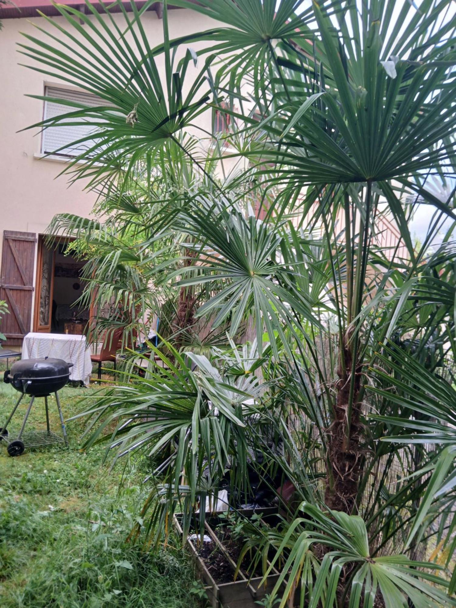 Habitación en casa particular Comme A La Maison Chez Dominnique Coquet T2 Avec Jardin Homme Chaleureux *