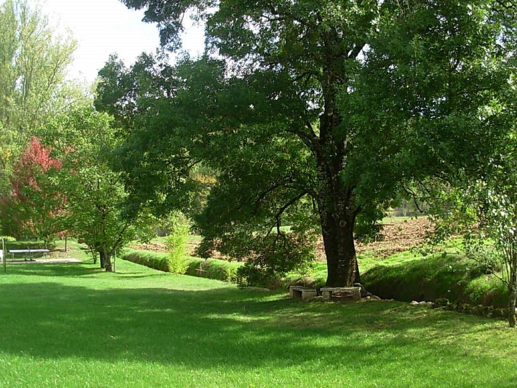 Bed & Breakfast Chambres Et Table D'hotes Marliac *